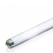 Люминесцентная лампа Osram T8, 18Вт, цоколь G13, цветность света 640, холодный свет, производство Россия (4052899352797)