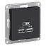 Розетка двойная USB 5В (2,1А и 1,05А) AtlasDesign, цвет карбон, Schneider Electric (ATN001033)